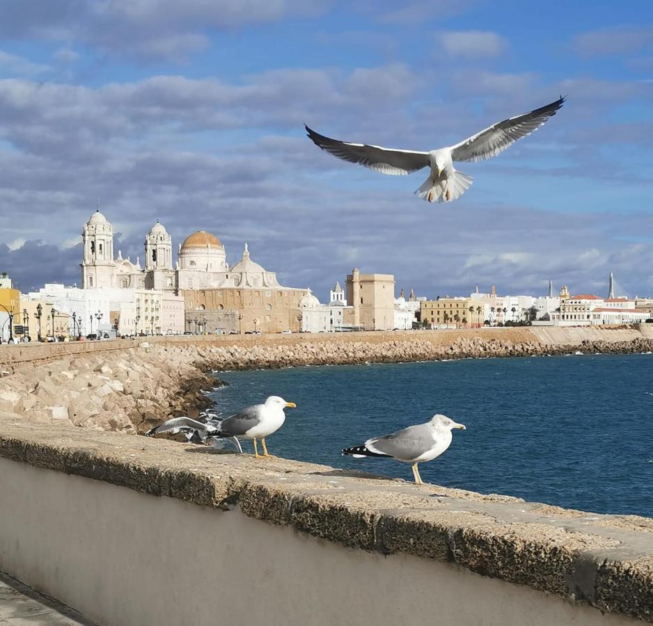 Apartamento Suite Caleta Cádiz Exteriér fotografie
